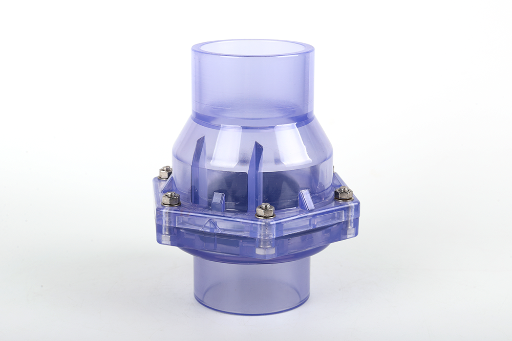 双牌透明翻板式止回阀